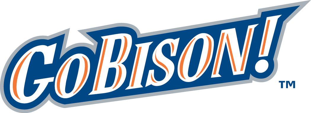 Bucknell Bison 2002-Pres Wordmark Logo v3 iron on transfers for fabric